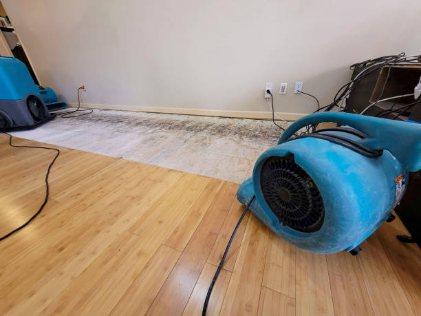 Professional Structural Drying technician working in Douglas, GA